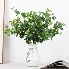 �������㺣���~ �G�}�~�b���҃ȼҾӔ[���쾰 �b�����������~