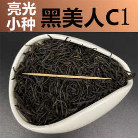 小种红茶 2024新桂圆味黑芽厂家三江春茶金骏眉 散装批发礼品特产