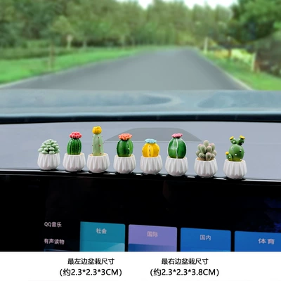Cartoon Artificial Transparent Succulent: Car ornaments - small-size-simulated-succulent-8-pieces
