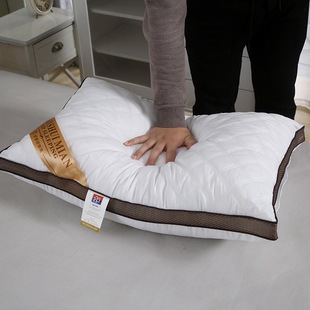 Shake the sound of cross-border explosions bilateral three-dimensional quilted high elastic feather velvet pillow hotel pillow core generation wholesale group purchase