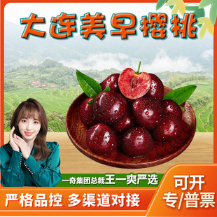 【严选】大连美早樱桃 代发1/5斤应季红樱珠爆甜大樱桃新鲜水果-阿里巴巴