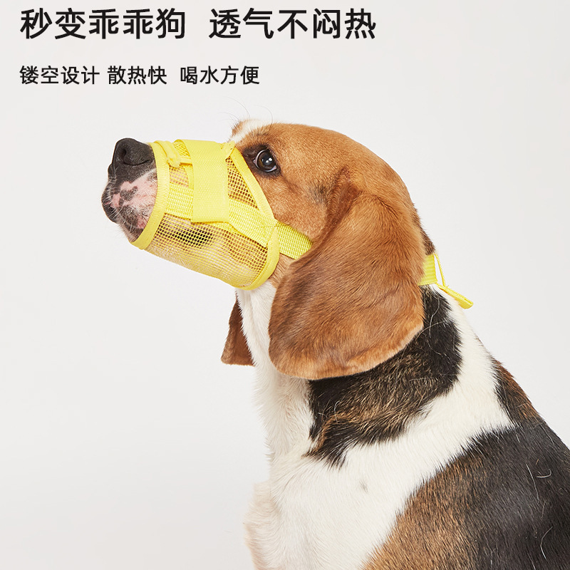 越境して爆発した犬の口のカバーは噛むのを防ぎます。|undefined