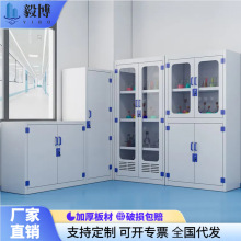PP酸碱柜学校实验室试剂柜双锁强酸强碱防腐蚀危险化学药品储存柜
