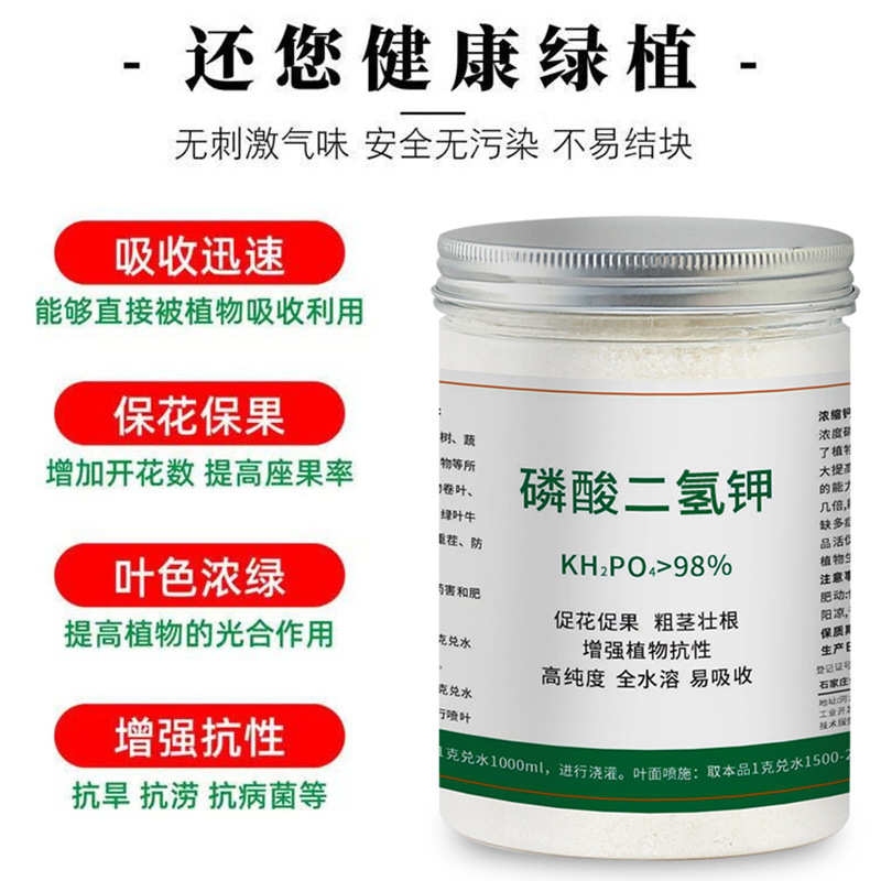 54e3e2a8-c4e4-4a97-9451-35679527a537.jpe