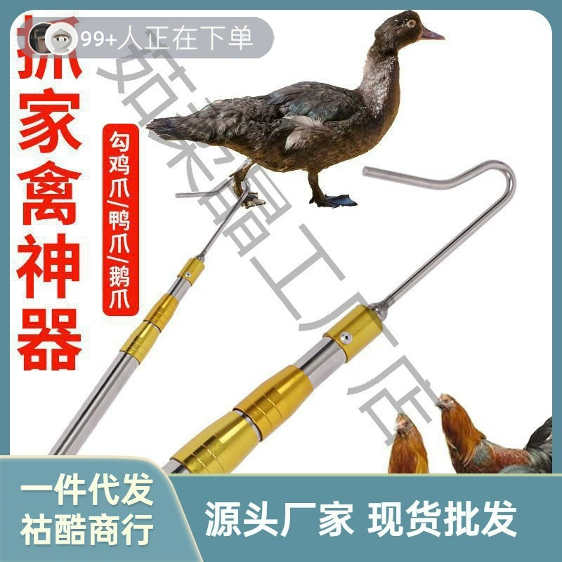 Современный инструмент для ловли кур и уток на открытом воздухе.