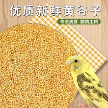 SӎС׻ƤĵPСW^BBZBʳBϼZʳ