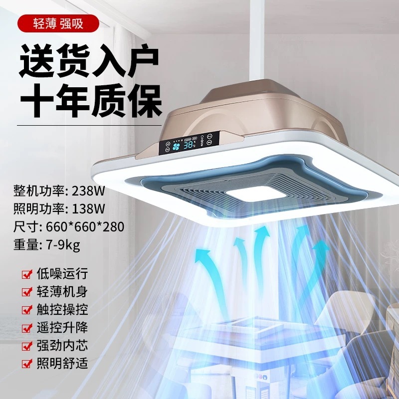 내부 순환 - 샴페인 골드