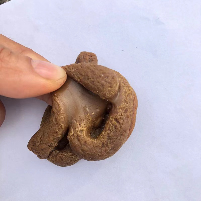 8f3aa8fc912dde75d864a18807077c