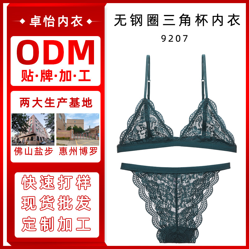 Procesamiento personalizado sujetador de encaje sexy francés ropa interior de copa triangular talla grande sin anillo de acero ropa interior delgada conjunto de ropa interior