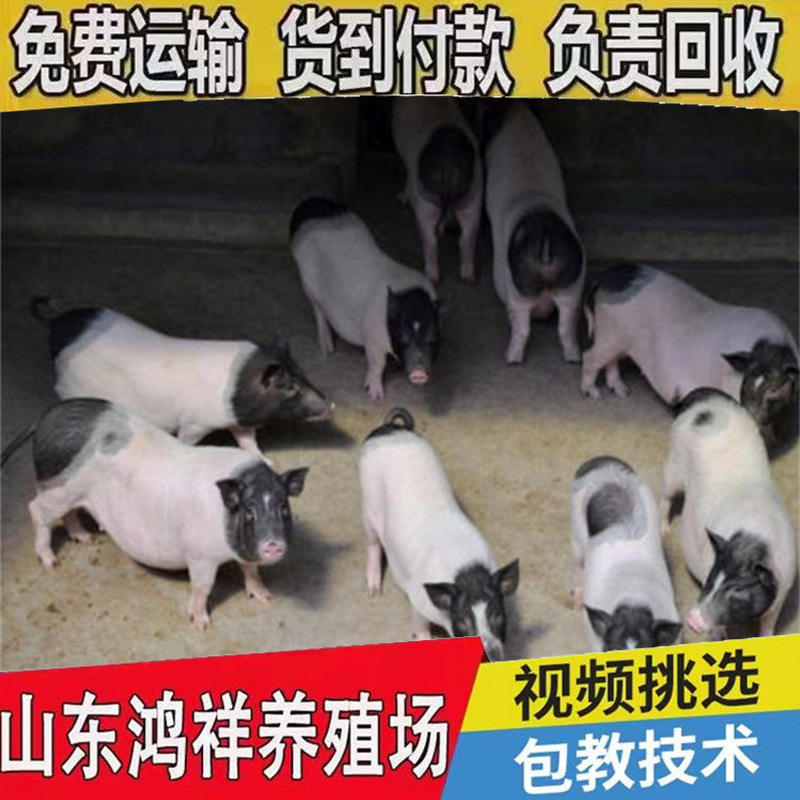 u=459264821,1342148082&