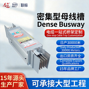 Fire-resistantEnclosedBuswayElectricalBusbar�ͻ������ĸ����