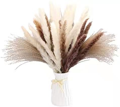 微信图片_20211124113446