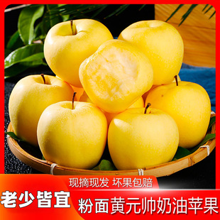 �SԪ���O�����r�S����������10�������S�㽶��������ɳ������ˮ��