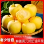 烟台新鲜苹果水果粉
