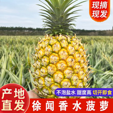 �����}���rˮ�����P����˺���}�����ˮ���}2/5/9��a��ֱ�l