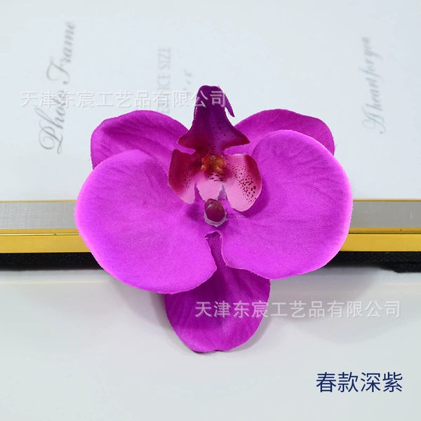 Spring purple