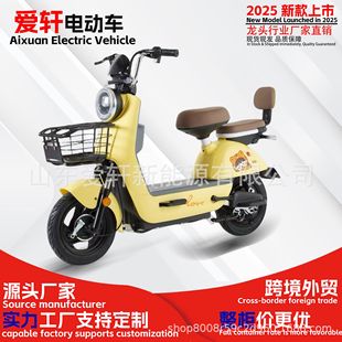 跨境外貿電動車甲殼蟲電動自行車二輪代步電瓶車雙人電動車