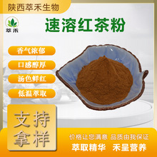 速溶红茶粉99% 红茶浓缩粉 锡兰红茶粉 速溶茶叶粉 现货供应