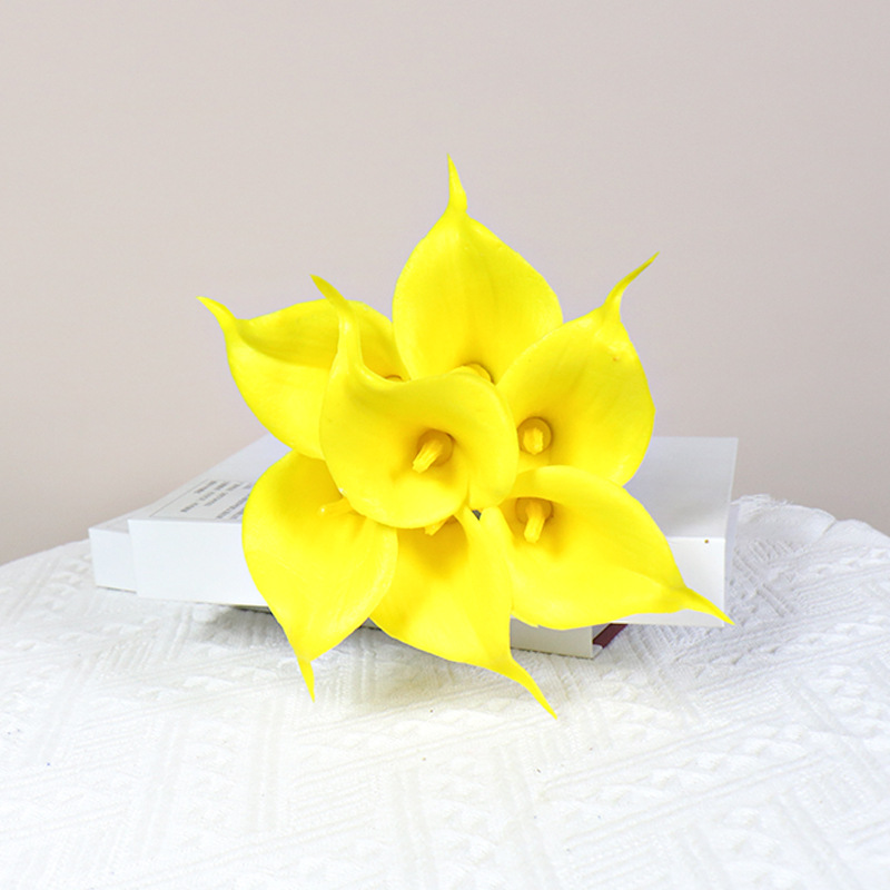 칼라 릴리-옐로우(노란색 코어)