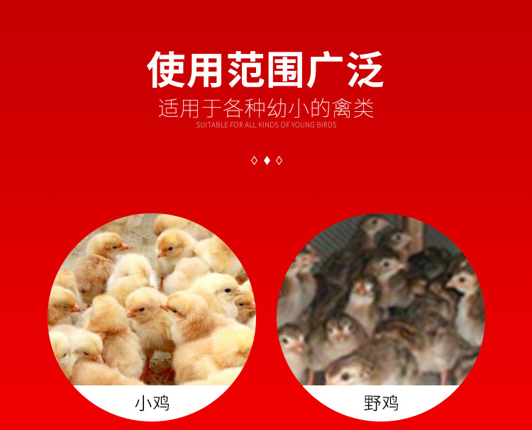 详情1_02.jpg