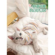 猫咪衣服夏季宠物春秋小猫薄款防掉毛银渐层英短布偶猫猫幼猫背心