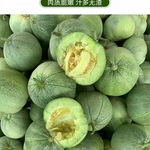 现摘超甜正宗绿宝甜瓜香瓜新鲜水果应季绿宝石甜瓜蜜瓜剥皮脆甜