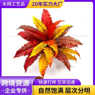 仿真绿植盆栽波斯草24叶波士顿墙面装饰秋色蕨类植物家居室内摆件