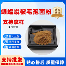虫草菌粉cs-4现货发酵冬虫夏草菌粉另有蝙蝠蛾被毛孢菌丝粉