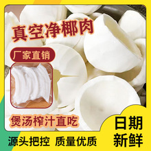 海南新鲜椰子肉老果即食嫩椰子鸡煲汤配料素十记商用椰片老椰肉