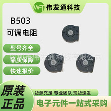 B503 �ɵ����� 50K&Omega; ��ʽ��ͷ��PT10-2-L