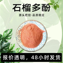 石榴多酚 橘色粉末 易溶于水 石榴气味 干燥阴凉储存 现货直发