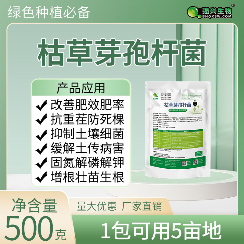 强兴枯草芽孢杆菌绿色有机种植改良土壤减少土传病害厂家直供抑菌