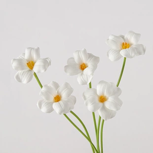 Artificial Polyurethane Tulip (Leafless) — Realistic Simulation Flower for Home & Wedding Bouquets