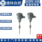 上海涌纬   WZP-248 防爆防尘热电阻