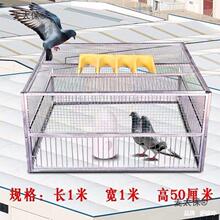 天落笼加密捕鸽神器户外抓野鸽子笼只进不出信鸽收鸽机跳笼垒德株