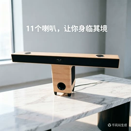 回音壁音箱;蓝牙音箱;其他音箱