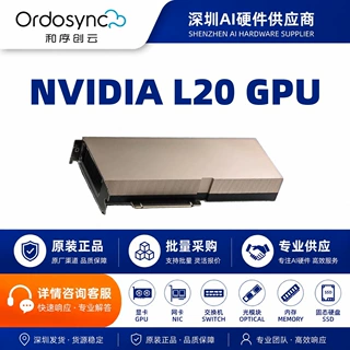 英伟达L20 48GB GDDR6 ECC GPU AI计算 深度学习推理训练显卡现货