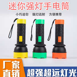 2019型号手电筒 出非洲小手电筒 1AA电池手电筒