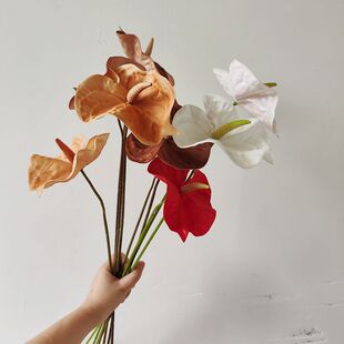 ���滨�ָмt�ƿ���ɫ ���Q ���T�Ӱ巿���Ô[���Ĕz��c��ˇ
