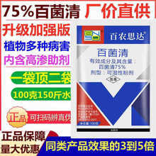 75%پ׷۲˪ù~߲~Pپ`ֲrș