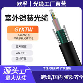 8.0外径多模光纤4芯A1a室外GYXTW/GYXTZW-4A1b/4铠装光缆7.0/7.5/