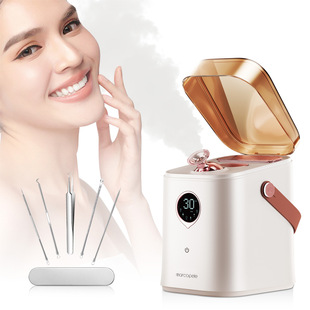 Factory Private Model Household Small Intelligent Digital Display Nano Spray Facial Steamer Hot and Cold Hydration Instrument Spray Moisturizing Instrument