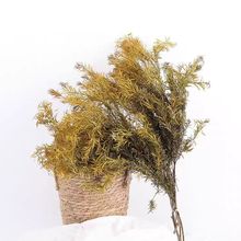 ǧ�ӽ�ɻ��b��߲����ҾӔ[�������������W���ֹ�diy�������