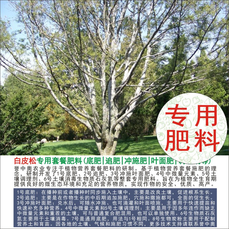 50�����а°�Ƥ��ר���л��ʸ��Ϸʵ׷�׷��Ҷ��ʳ�ʩ��ˮ�ܷ�