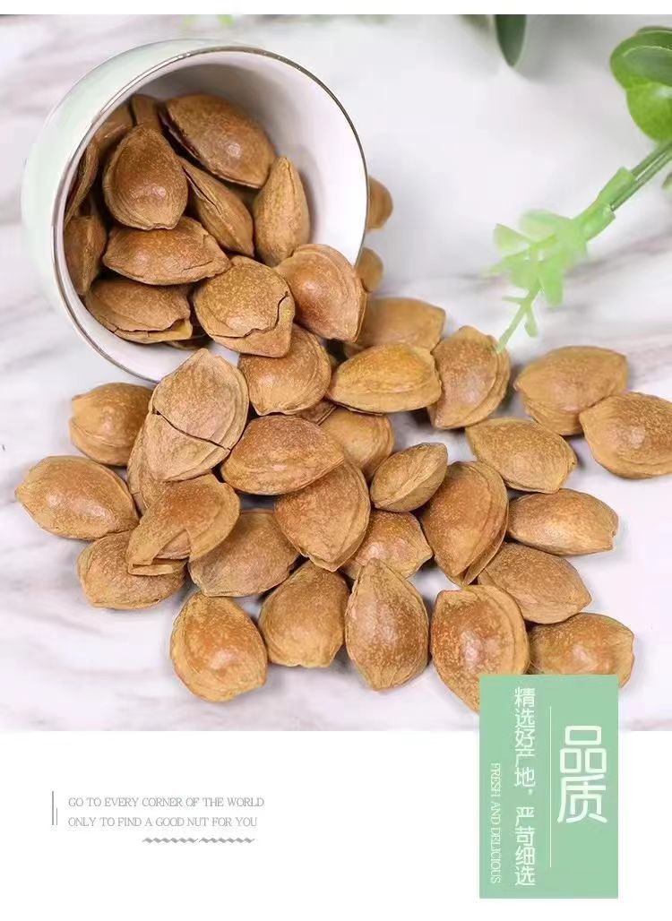 Wholesale ripe open-mouthed milky apricot kernels 500g hand-peeled new year's nuts snacks baked new small ginkgo kernels