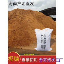 ���ݲ���Ó�}���l���o�����༃Ҭ�Nֲ����ͥԺ����Ҭ�u�I�B�����|