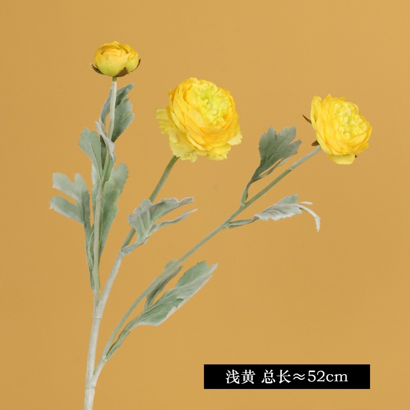 5246 # 라이트 옐로우