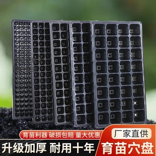 ���I����PѨ�P�Ӻ�����Ǥ���������ѿ�˷N�Ӷ����~������������