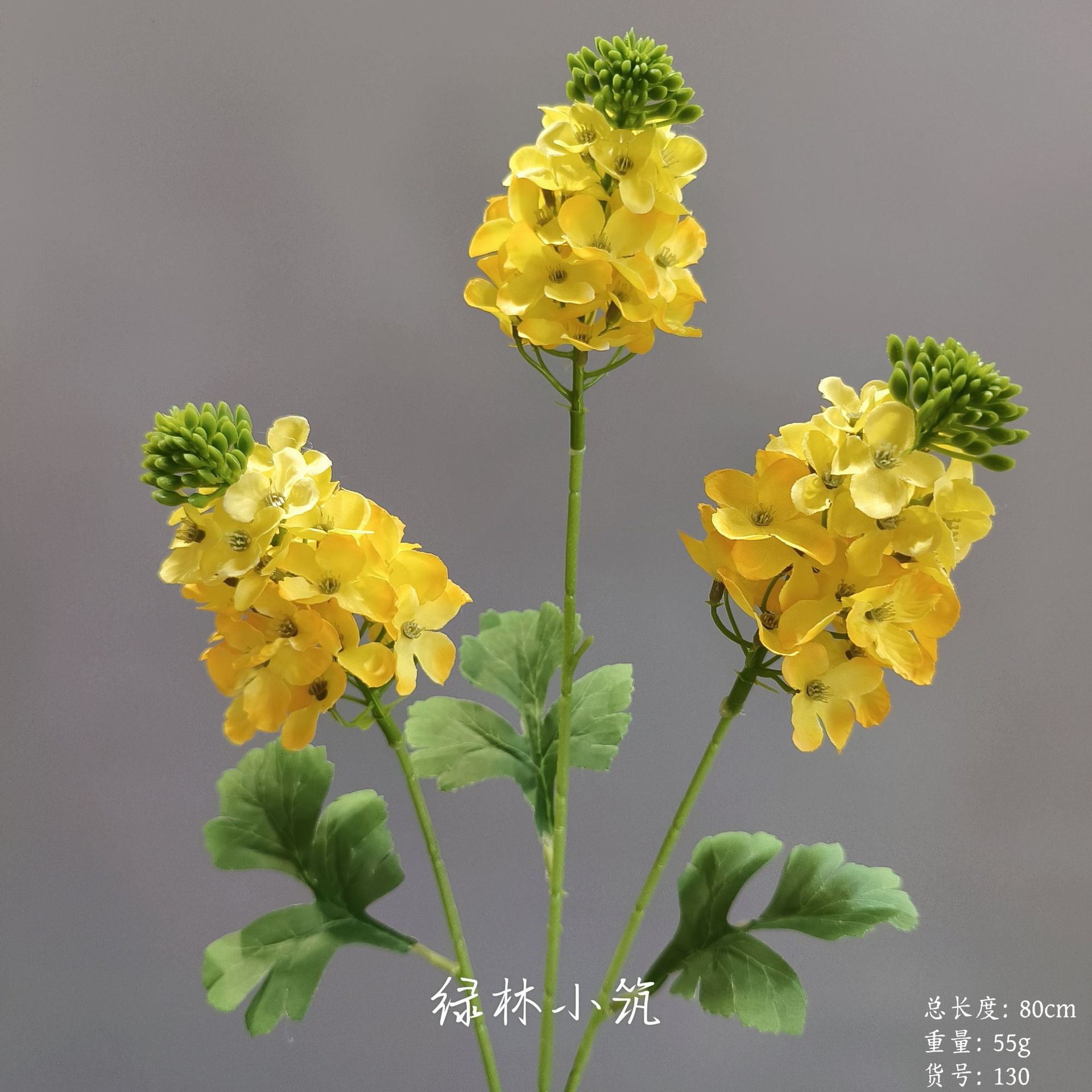 품목번호 130-3 유채꽃