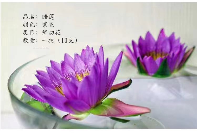 2deec7f9-373a-4fb0-8941-19f36468c882.jpe